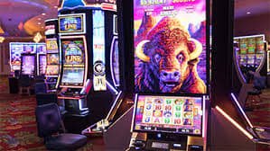 bet66