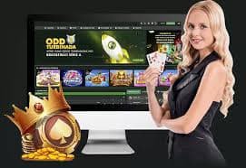bet66